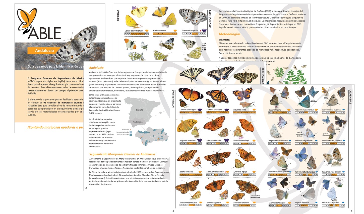 Materiales European Butterfly Monitoring