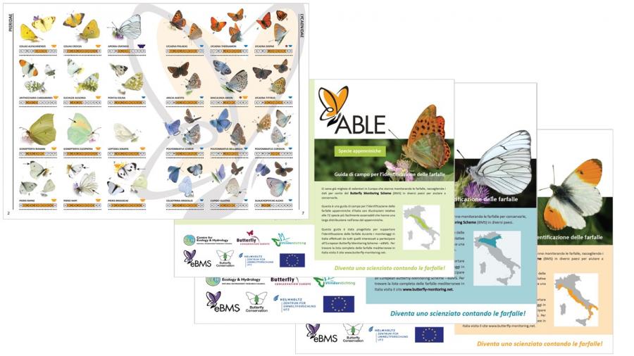 BMS Italia  European Butterfly Monitoring