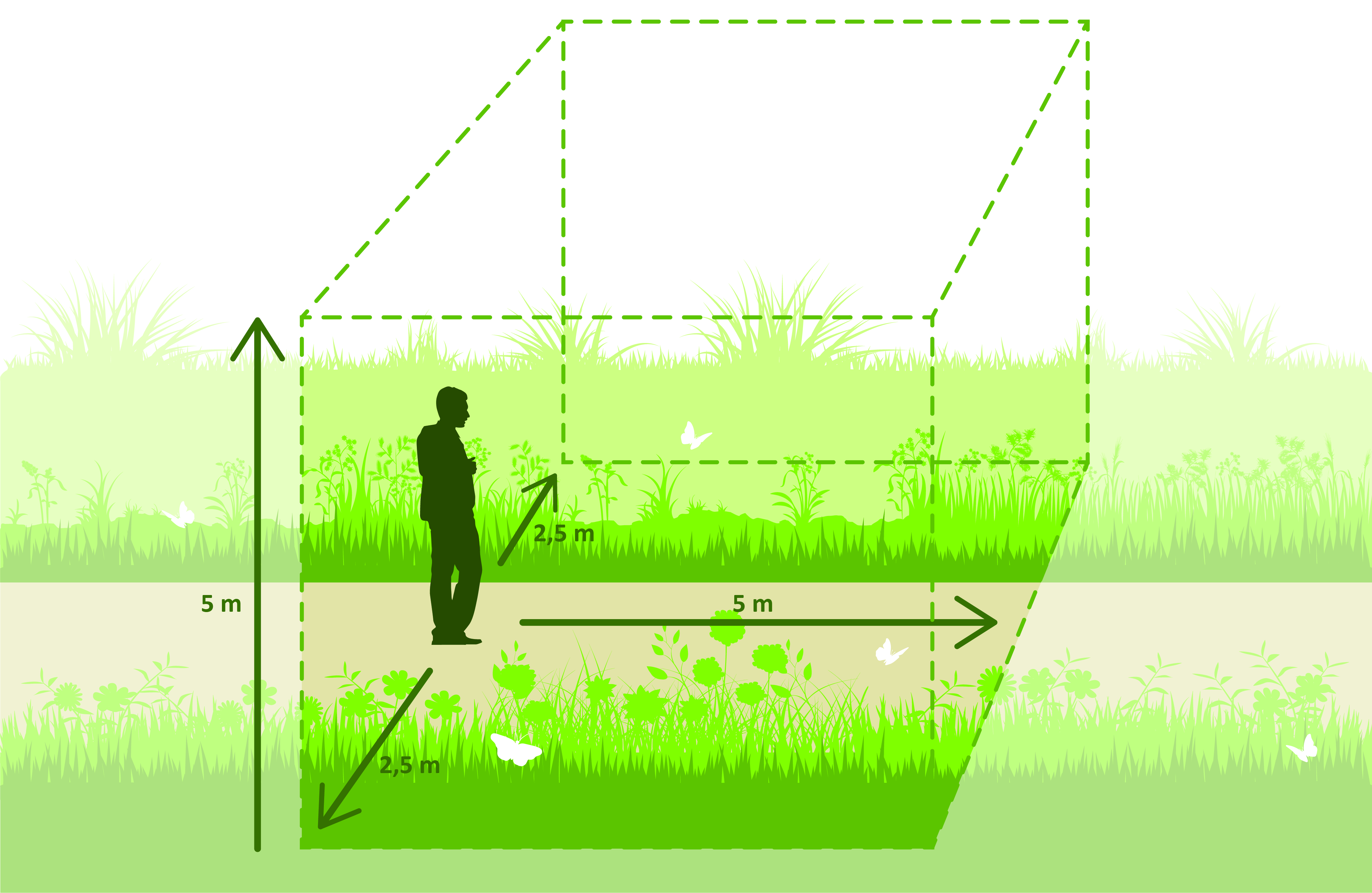 transect box