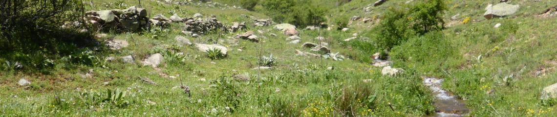 Meadow, Greece